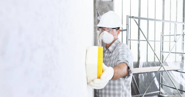 Best Post-Construction Mold Inspection  in Eldora, IA